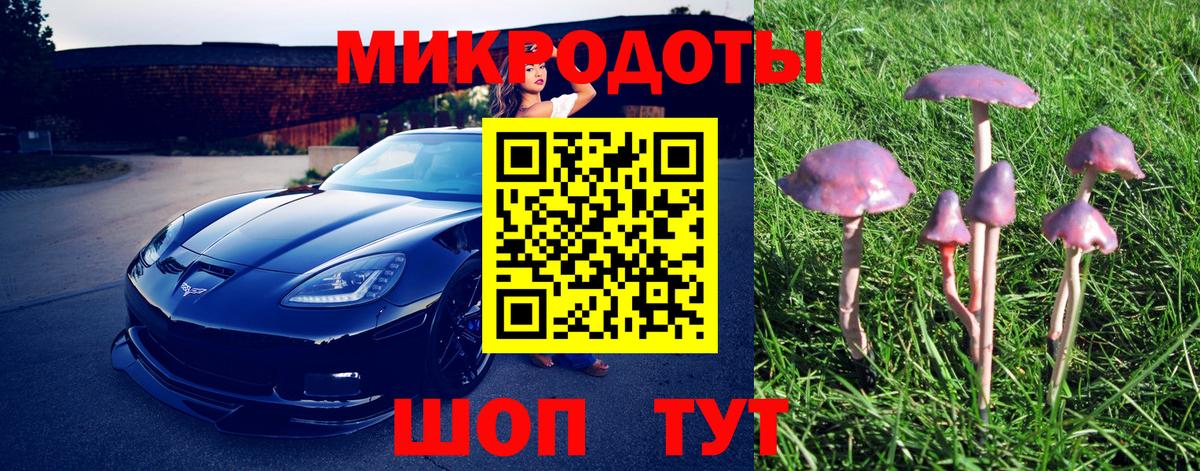 Рассказово  Галлюциногенные грибы Magic Shrooms  как найти закладки  Вход с VPN 