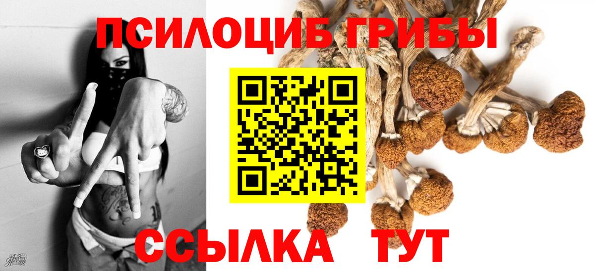 Псилоцибиновые грибы Psilocybe  Псилоцибиновые грибы Magic Shrooms  Рассказово 